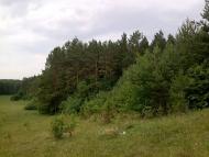 Стуфчинці з panoramio.com