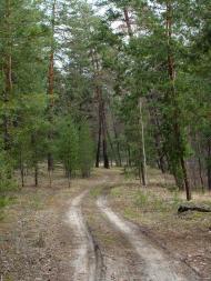 Ярова з panoramio.com