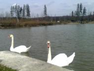 Старі Бросківці з panoramio.com