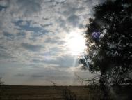 Суворове з panoramio.com