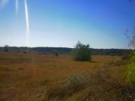 Чоботарка - Останні фото