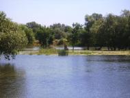 Василівка з panoramio.com