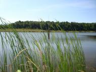 Шийки з panoramio.com