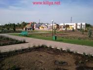 Шевченкове з panoramio.com