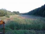 Кіцмань з panoramio.com