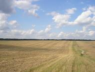 Княже з panoramio.com