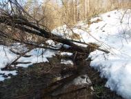 Млинки з panoramio.com