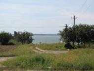 Роксолани з panoramio.com