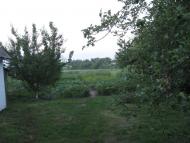 Пінчуки з panoramio.com