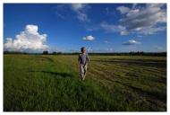 Мігово з panoramio.com