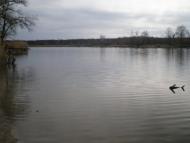 Болотене з panoramio.com