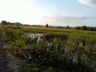 Калинівка Друга з panoramio.com