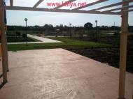 Шевченкове з panoramio.com