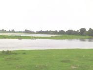 Навіз з panoramio.com