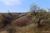 Красне з panoramio.com