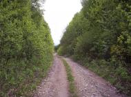 Горішні Шерівці з panoramio.com