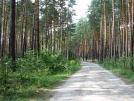 Стригани з panoramio.com