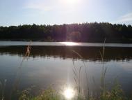 Шийки - Останні фото