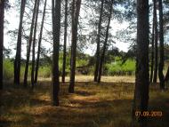 Студенок з panoramio.com