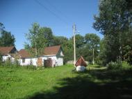 Щурівчики - Останні фото