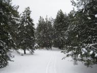 Гути з panoramio.com