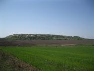 Березове з panoramio.com
