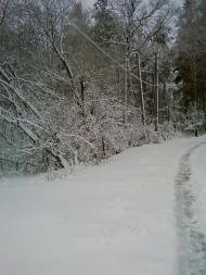 Глеваха з panoramio.com