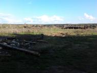 Долина з panoramio.com