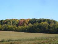 Адамівка з panoramio.com