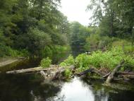 Чернеччина з panoramio.com