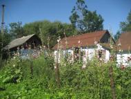 Щурівчики - Останні фото