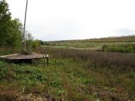 Надеждівка - Останні фото