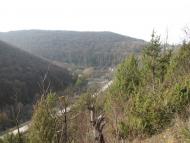 Вербка з panoramio.com