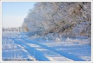 Липці з panoramio.com