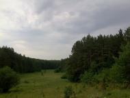 Стуфчинці з panoramio.com