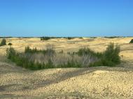 Подо-Калинівка з panoramio.com