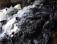 Velyke Mishkove - Latest photos