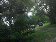 Березанка з panoramio.com