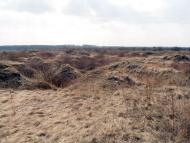 Підгать з panoramio.com