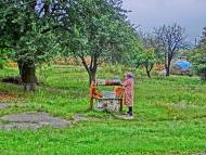 Пустельникове - Останні фото