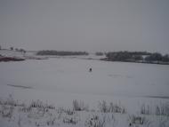 Степанівка з panoramio.com