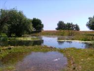 Василівка з panoramio.com