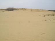 Подо-Калинівка з panoramio.com