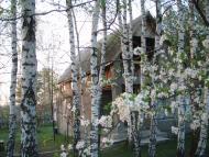 Пилиповичі з panoramio.com