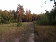 Студенок з panoramio.com