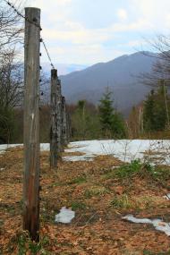 Волосянка з panoramio.com