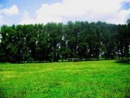 Григорівка з panoramio.com