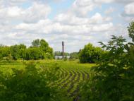 Вільшане з panoramio.com