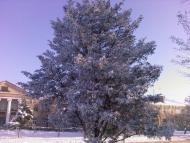 Приазовське - Останні фото