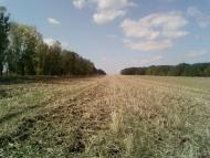 Ізбицьке з panoramio.com